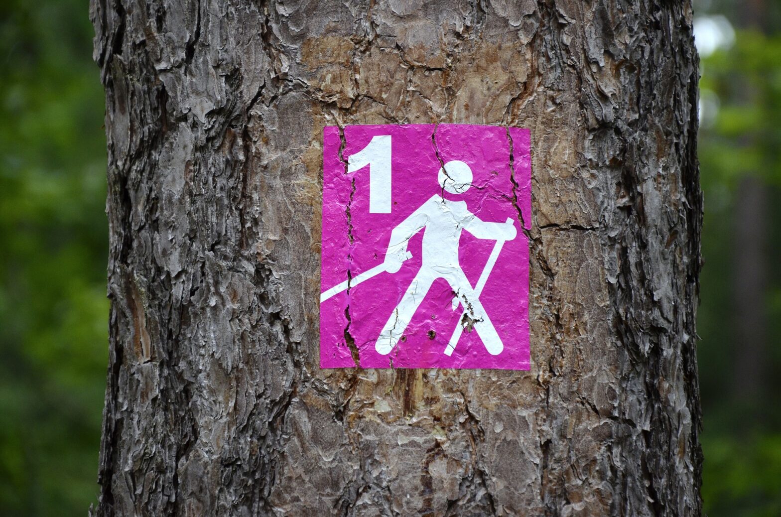 balise pour la randonnée, de couleur violette avec un bonhomme blanc dessus et numérotée 1